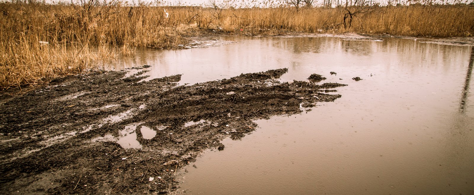 art-of-sandy-mo-staten island 2-60.jpg